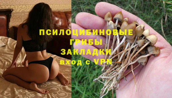 соль ск Верея
