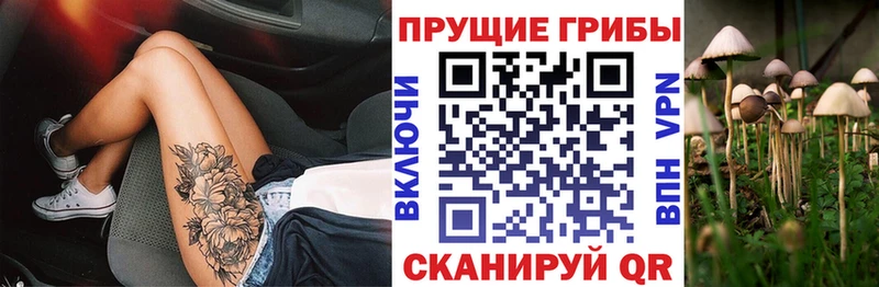 Галлюциногенные грибы GOLDEN TEACHER  Купить где  Вязники 
